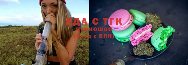 тгк Ельня