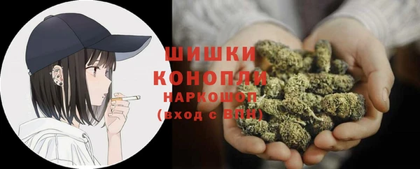 тгк Ельня