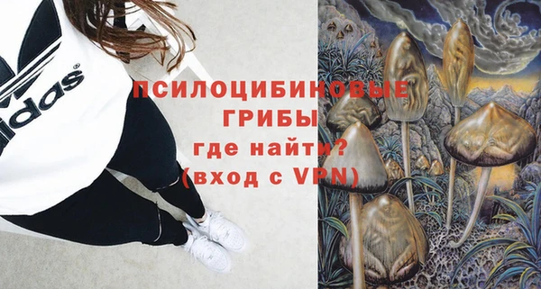 тгк Ельня