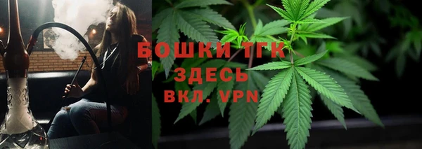 тгк Ельня