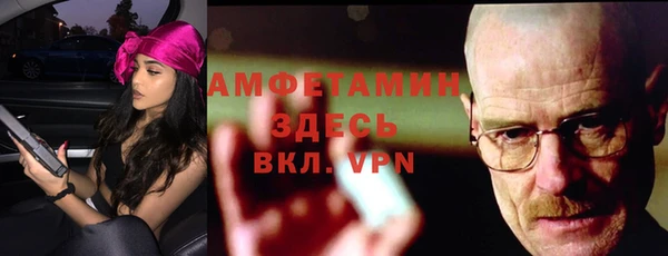 тгк Ельня
