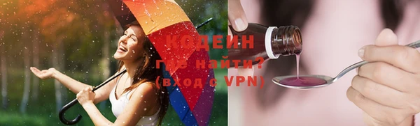 тгк Ельня