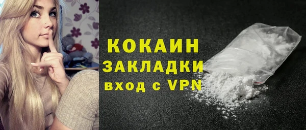 тгк Ельня