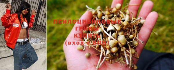 mdma Елизово