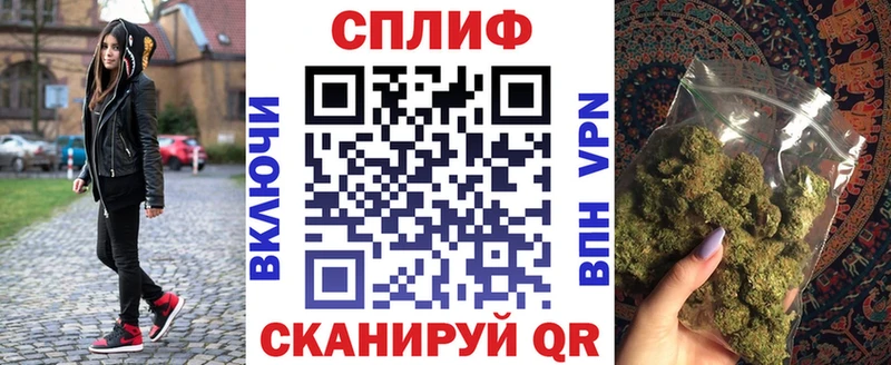 Канабис конопля Зуевка